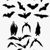 iluvbabybats3